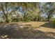 Large backyard with mature trees and grassy area at 211 Cassady St, Umatilla, FL 32784