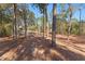 Spacious backyard with mature trees and grassy area at 2187 County Road 243C, Wildwood, FL 34785