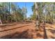 View of the house from the wooded backyard at 2187 County Road 243C, Wildwood, FL 34785