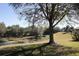 Mature oak tree by the lake in a sunny landscape at 24308 Belle Mede Dr, Leesburg, FL 34748