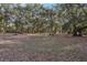 Spacious backyard with mature trees and open space at 2685 Cr 564, Bushnell, FL 33513