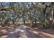 Private gated entry with a tree-lined driveway at 2685 Cr 564, Bushnell, FL 33513