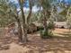 Brick home with a large covered patio and mature trees at 2685 Cr 564, Bushnell, FL 33513