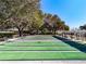 Expansive shuffleboard courts shaded by mature trees at 3716 Plantation Blvd, Leesburg, FL 34748