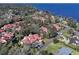 Aerial view of a residential area near the lake, showcasing homes and landscape at 601 Waterwood Dr, Yalaha, FL 34797