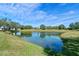 Serene pond view with lush green landscaping at 6319 Berkshire Pass, Leesburg, FL 34748