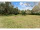 Large backyard area with mature trees at 7237 Edmund Ct, Mount Dora, FL 32757