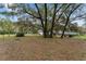 Large grassy backyard with mature trees at 7237 Edmund Ct, Mount Dora, FL 32757