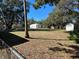 Large backyard with sheds and mature trees at 11221 Lake Eustis Dr, Leesburg, FL 34788