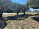 Residential street featuring mature trees and well-maintained lawns at 11221 Lake Eustis Dr, Leesburg, FL 34788