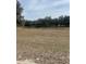 Open land with mature trees in the background at 13588 Sw 105Th Pl, Dunnellon, FL 34432