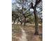 Peaceful nature trail winding through a canopy of live oaks at 13588 Sw 105Th Pl, Dunnellon, FL 34432