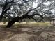 Large oak tree with Spanish moss, near park pavilion at 13588 Sw 105Th Pl, Dunnellon, FL 34432