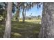 Scenic backyard lake view from behind trees at 1401 Lake Shore Blvd, Tavares, FL 32778