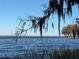 Peaceful lake view with Spanish moss-draped trees at 1401 Lake Shore Blvd, Tavares, FL 32778