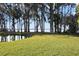 Expansive lake view with lush landscape at 1401 Lake Shore Blvd, Tavares, FL 32778