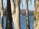 Serene lakefront view partially obscured by trees at 1401 Lake Shore Blvd, Tavares, FL 32778