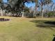 Open pasture area with lush green grass at 2403 County Road 416N, Lake Panasoffkee, FL 33538