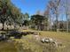 Open pasture with mature trees and a pond at 2403 County Road 416N, Lake Panasoffkee, FL 33538