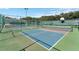 Outdoor recreational area with pickleball and tennis courts at 25236 River Crest Dr, Leesburg, FL 34748