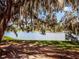 Serene lake view from under a tree with Spanish moss at 26154 Newcombe Cir, Leesburg, FL 34748