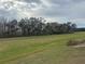 Spacious lot with mature trees and open green space at 29567 Caspian St, Leesburg, FL 34748