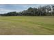 Large grassy area providing a tranquil, natural setting at 29567 Caspian St, Leesburg, FL 34748