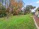 Backyard view with fruit trees and natural landscape at 353 Ranchwood Dr, Leesburg, FL 34748