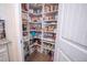 Large walk-in pantry with ample shelving for storage at 41516 Saddle Ridge Ln, Weirsdale, FL 32195