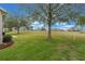 Spacious backyard with lush green grass and mature trees at 4928 Kelso St, Leesburg, FL 34748