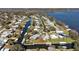 Community overview showing layout and waterfront access at 34205 Island Dr, Leesburg, FL 34788