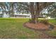 Home exterior partially visible behind large oak tree in the backyard at 5505 Tangelo St, Leesburg, FL 34748