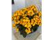 A close-up view shows vibrant yellow flowers blooming in a decorative pot, adding a splash of color at 12306 Ne 48Th Way, Oxford, FL 34484