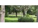 Beautiful front yard featuring lush green grass, mature trees, and water view at 25941 Newcombe Cir, Leesburg, FL 34748