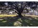 Majestic oak tree draped in Spanish moss, creating a picturesque landscape at 3704 Warm Springs Ave, Wildwood, FL 34785