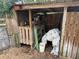 Rustic wooden storage shed with various tools at 403 W Palm Ave, Bushnell, FL 33513