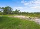 Large backyard with grassy area and partially cleared land at 42025 Royal Trails Rd, Eustis, FL 32736