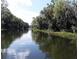 Serene view of a calm river bordered by lush trees at 6216 Landings Blvd, Lady Lake, FL 32159