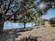 Peaceful lake view with large oak trees and grassy areas at 8480 Se 167Th Forsyth St, The Villages, FL 32162