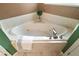 Corner bathtub with a modern faucet and a plant decoration at 9320 County Road 125B, Wildwood, FL 34785