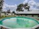 Above ground pool in backyard with surrounding trees and homes visible at 1029 Cr 452A, Lake Panasoffkee, FL 33538