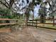 Wooden deck with metal table and chairs, overlooking a lush backyard with trees at 1029 Cr 452A, Lake Panasoffkee, FL 33538