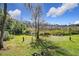 Spacious backyard showcasing lawn and natural landscape at 1130 Elysium Blvd, Mount Dora, FL 32757