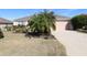 Landscaped front yard with palm trees and driveway at 1189 Homeland Park St, The Villages, FL 32162