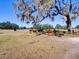 Several cows stand under the shade of a large oak tree at 1199 Cr 542G, Bushnell, FL 33513