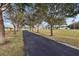 Long driveway lined with trees leading to a charming home at 13718 County Road 450, Umatilla, FL 32784