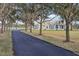 Long driveway lined with trees leading to a charming home near the lake at 13718 County Road 450, Umatilla, FL 32784