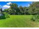 Spacious backyard with lush grass and trees at 2010 Hollywood Dr, Leesburg, FL 34748