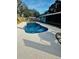 Enjoy this beautiful, free-form swimming pool at 204 Lori Ct, Umatilla, FL 32784