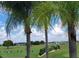 Peaceful view of a lush golf course and palm trees at 2185 Victoria Dr, Davenport, FL 33837